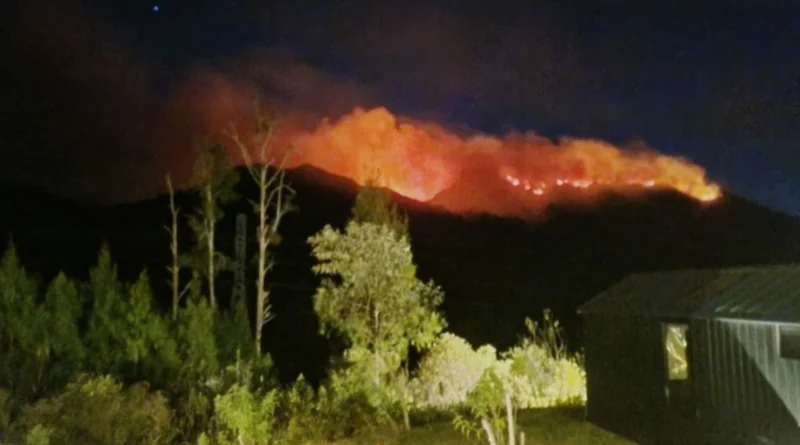 Karhutla Kepung 5 Gunung di Jatim, Semeru Terparah 1.888 Ha